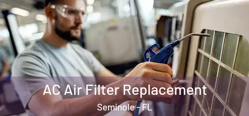 AC Air Filter Replacement Seminole - FL