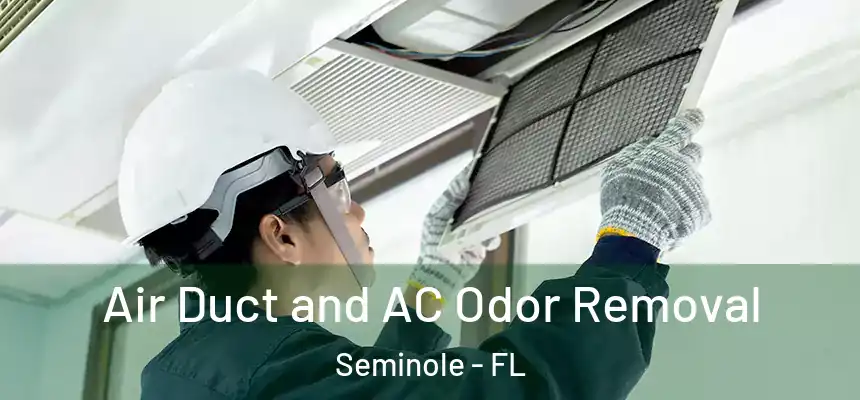 Air Duct and AC Odor Removal Seminole - FL