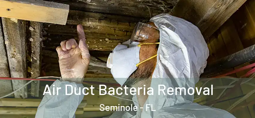 Air Duct Bacteria Removal Seminole - FL