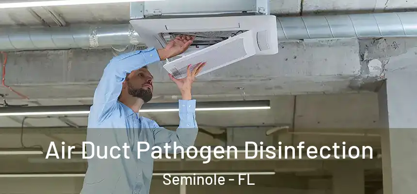 Air Duct Pathogen Disinfection Seminole - FL