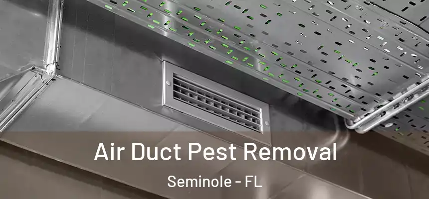 Air Duct Pest Removal Seminole - FL