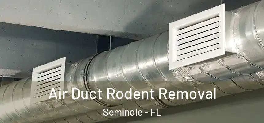 Air Duct Rodent Removal Seminole - FL