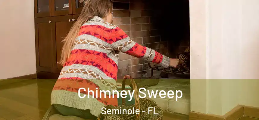 Chimney Sweep Seminole - FL