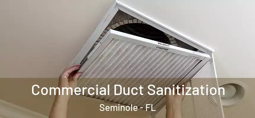 Commercial Duct Sanitization Seminole - FL