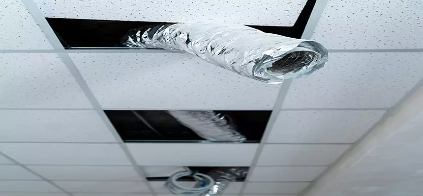 Affordable HVAC Sanitizing After Pest Removal in Seminole