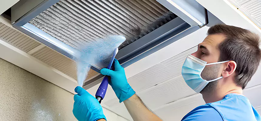 Proactive Dryer Vent & Auxiliary Duct Pollen Cleanup in Seminole, FL