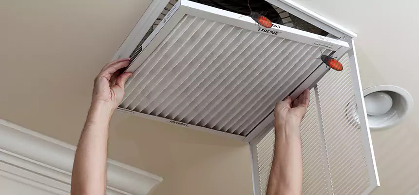 Our Insect Removal from Air Ducts Services in Seminole, FL