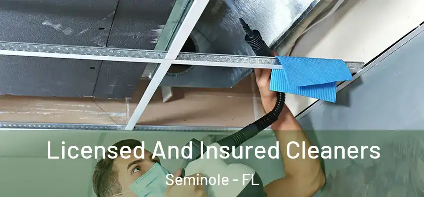 Licensed And Insured Cleaners Seminole - FL