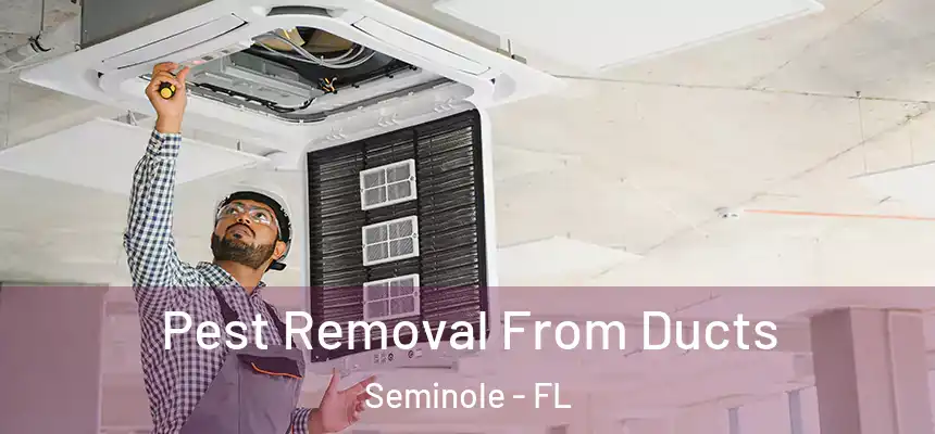 Pest Removal From Ducts Seminole - FL