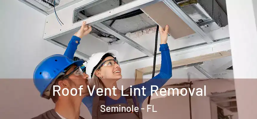  Roof Vent Lint Removal Seminole - FL