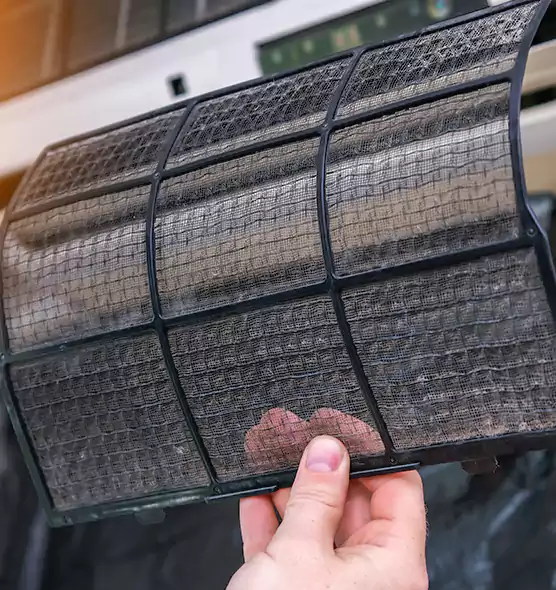 About Pet Dander Duct Cleaning in Seminole, FL